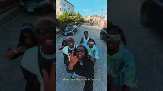 Dandizzy CELEB (visualizer) #music #boymusic #lyrics #afrobeats #danceclub #newmusic #dancehall