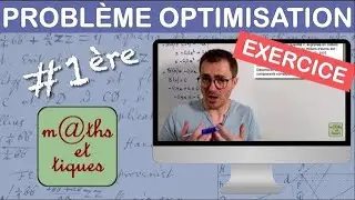 EXERCISE: Solving a quadratic optimization problem - First year