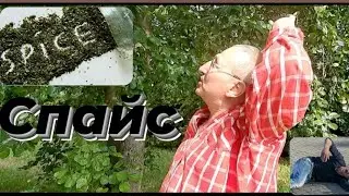 ШОК!СПАЙС!ПОД СПАЙСОМ В МЕТРО//КАК ПРЁТ СПАЙС /СОЛЬ,СПАЙС,ЛЕГАЛЬНАЯ СИНТЕТИКА