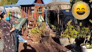 Backyard Cleaning / Spring time