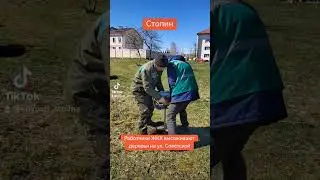 Столинское ЖКХ садит деревья