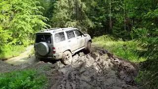 Деревня Погари