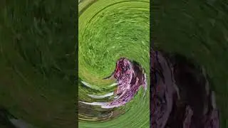 Гномо-корги