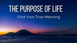 The Purpose of Life | Find Your True Meaning  