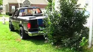 Fail & Win Removing Bushes Without Digging