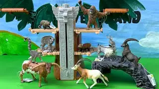 Satisfying Unboxing 9 CollectA Wild and Farm Animals Toys- Mở hộp 9 mô hình động vật hãng CollectA