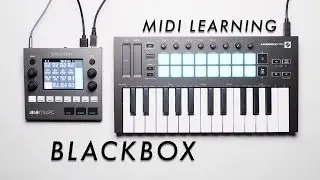Blackbox Midi Learning