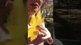 мое любимое время года