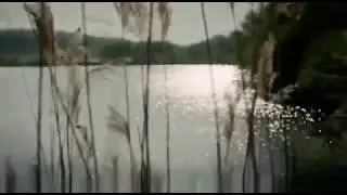Клип Берегите своих детей /GalaxyCat