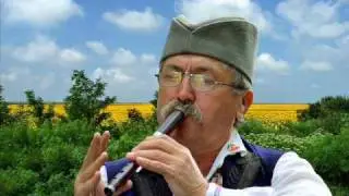 Слободан Никитовић-Жуборка коло 1979,frula-Serbian music