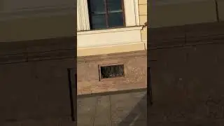 Институт им. Вавилова в Санкт-Петербурге