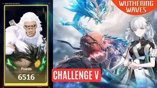 [Tactical Simulacra] New Featured Combat Event Challenge 5 Wuthering Waves