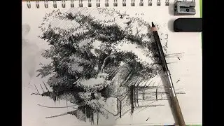 Detailed instructions for drawing trees with black pencil - Basic sketching for beginners