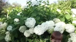 БОТАНИЧЕСКИЙ САД Уфа