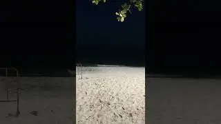 THE SEA AT NIGHT