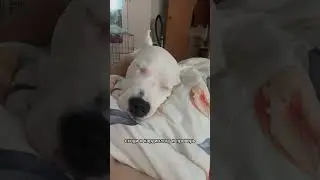 Сердце на месте? 