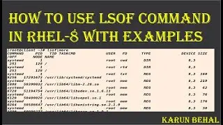 How to Use LSOF command in RHEL-8 With Examples in Hindi By Karun Behal