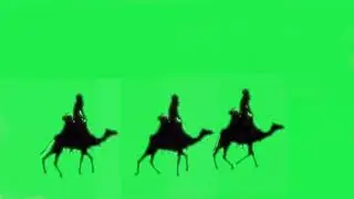 Camel green screen || green screen Camel