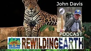 Episode 6: John Davis On Rewilding In The Northeast