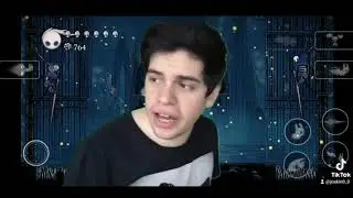 Derrotando a las Mantis en Hollow knight 