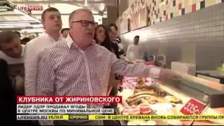 Сказ про то, как Жириновский клубнику продавал! Последние Новости  92.07.2015