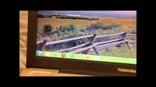 Windows 7 Toshiba Laptop Review