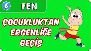 Çocukluktan Ergenliğe Geçiş | 6. Sınıf Fen evokul Kampı