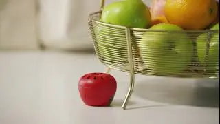 TERRO® Fruit Fly Trap