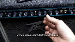 PEAVEY SPECIAL 112 Reparado