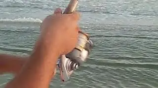 Fish On! Finger Mullet Great Bait For Surf Fishing
