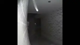 WOOO