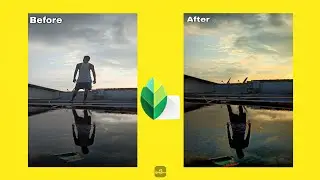 Snapseed || Double Exposure Editing Tricks - 2020