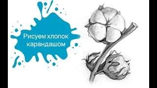Рисуем Хлопок в Графике!