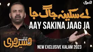 Aay Sakina a.s Jaag Ja | HUSSAIN JARI | New Noha | 2023-1445