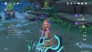 Solving puzzles in Genshin - Genshin Impact