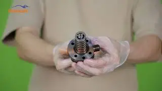 High quality | oil pump plunger | CP4 | F00F0P1003