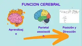 Dificultades en el aprendizaje en matemáticas