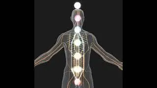 Geometry of Healing: Meredith Sands Keator's Journey