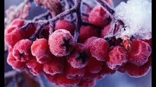 НАРОДНЫЕ ПРИМЕТЫ НА 17 ЯНВАРЯ – ФЕОКТИСТОВ ДЕНЬ