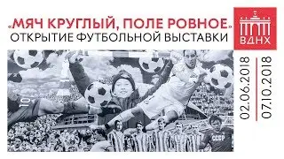 Мяч круглый, поле ровное. Хроники российского футбола 1897-2018