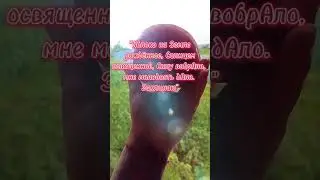 Заговорить яблоко на молодость!