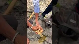 Khediya water fall