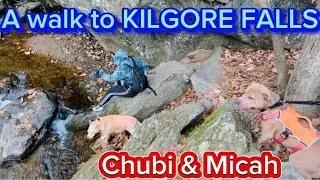 This is what happens if you take Dogs in Kilgore Falls for the 1st Time| Chubi | Micah |FAMTayo #115