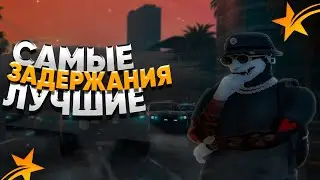 САМЫЕ ЛУЧШИЕ ЗАДЕРЖАНИЯ В FIB | GTA5 RP (ECLIPSE)