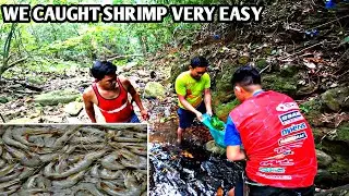 CAUGHT SHRIMP IN EASY WAY IN THE FOREST MOUNTAIN