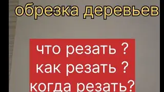 Обрезка деревьев. Что резать? Как резать? Когда резать?
