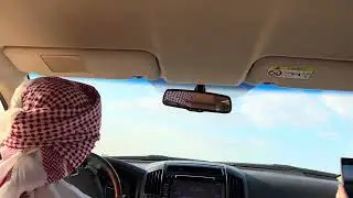 Сафари Dubai