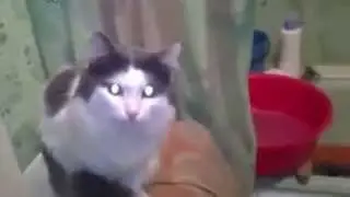 Дверь закрой!Я купаюсь!