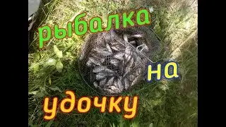 ЛОВЛЯ КАРАСЯ/КАРПА НА УДОЧКУ И ФИДЕР!