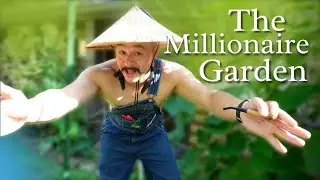 The Hidden Key to Gardening Success | Best Principles in Business and Gardening